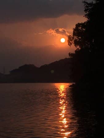 Expansive Green Spaces