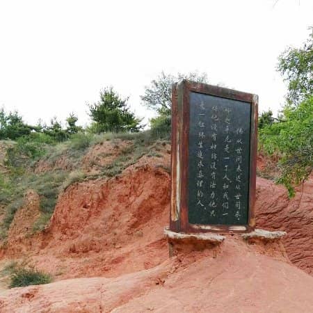 Spring Flower Garden