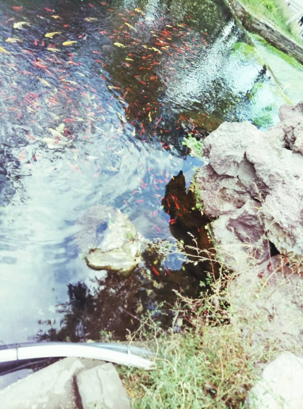 Local Dance Gatherings