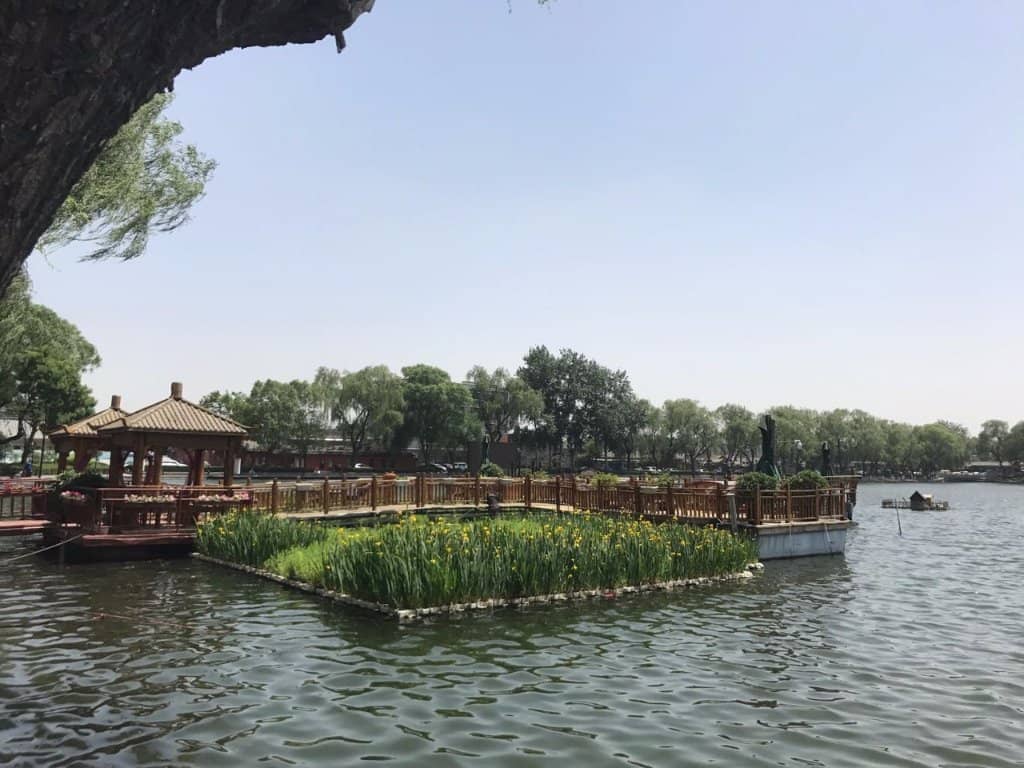 Misty Peaks and Canyons