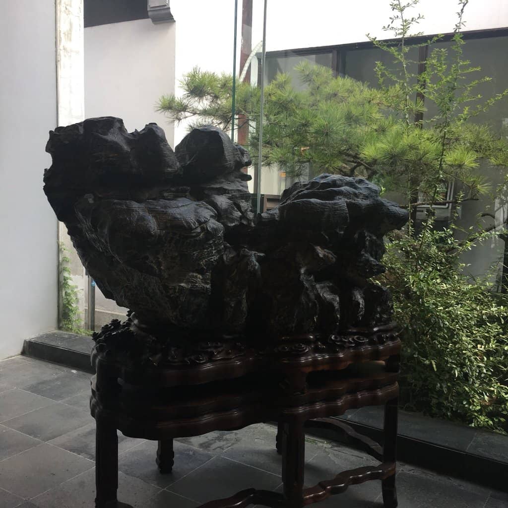 Exquisite Bonsai Collection