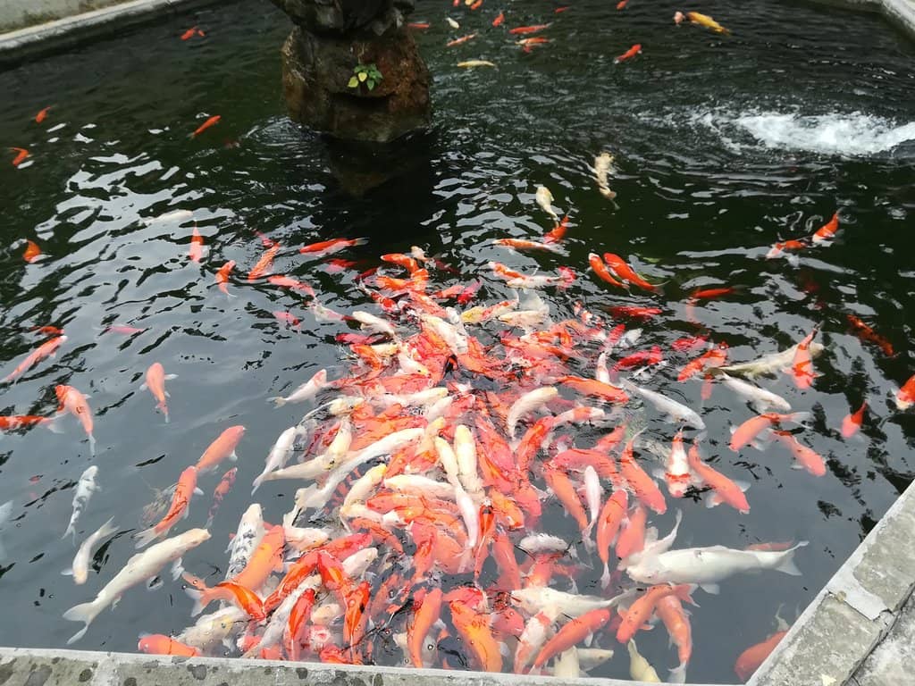 Well-Maintained Grounds