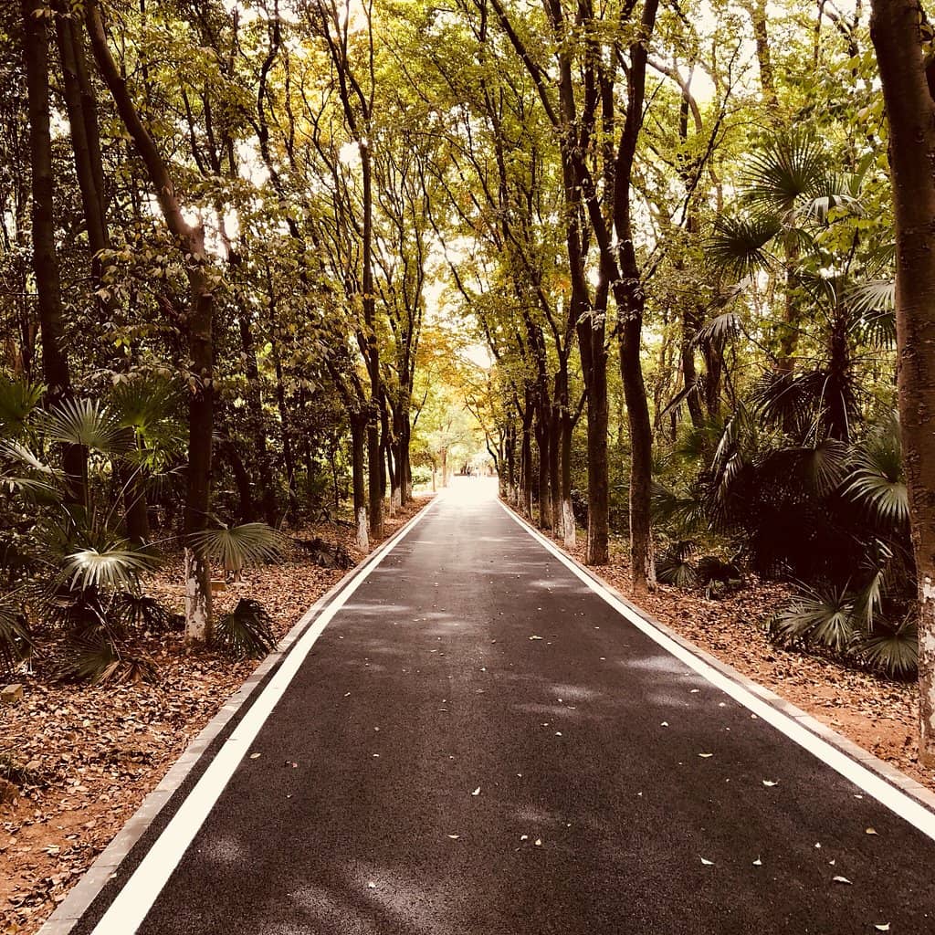 Seasonal Flower Shows