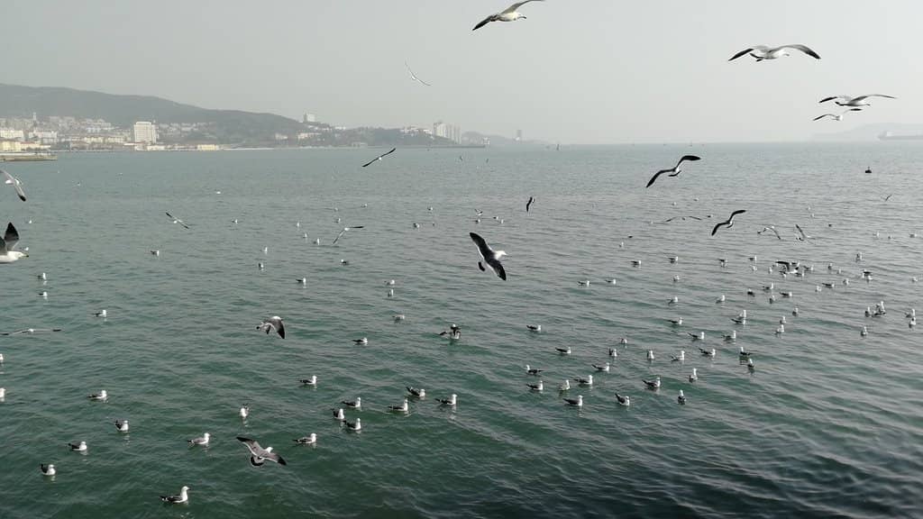 Scenic Coastal Walks