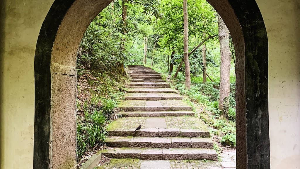 Photographer's Paradise