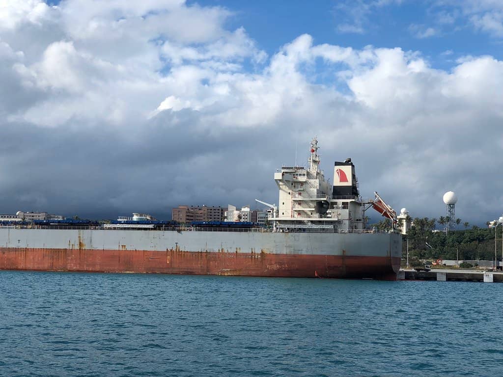 Whale and Dolphin Watching