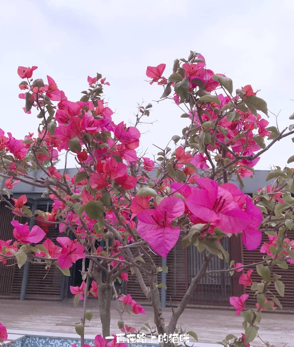 Qinhuai Lantern Festival