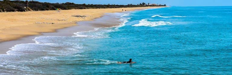 Tide Pool Exploration