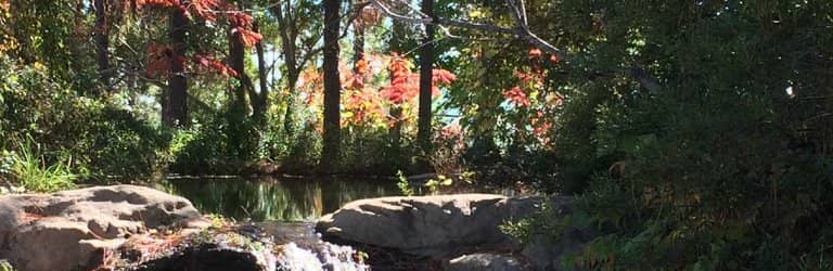 Scenic Nature Trails