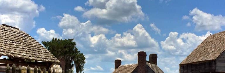 Marsh Trails and Wildlife