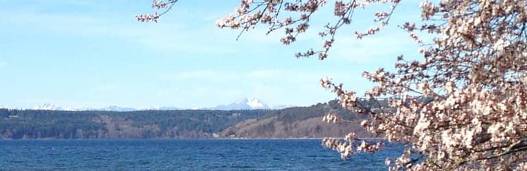 Clamming Opportunities