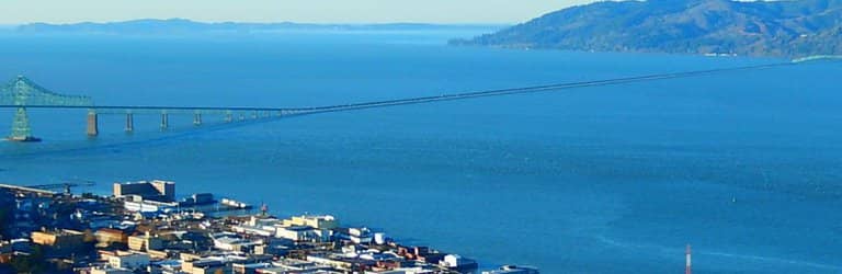 Balsa Wood Airplane Toss