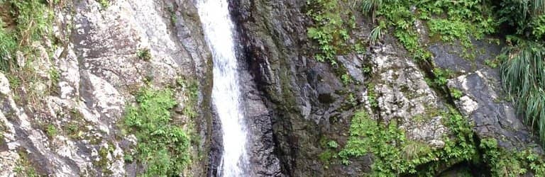 El Chinchoro de Aracelis