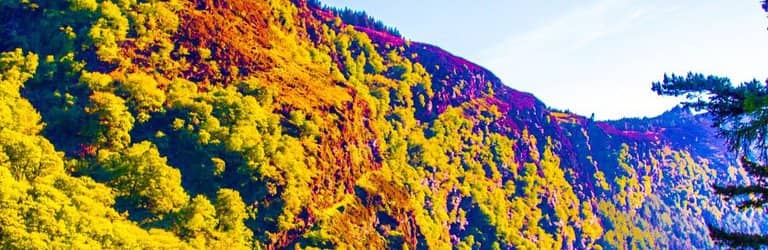 Glendalough Cathedral Ruins