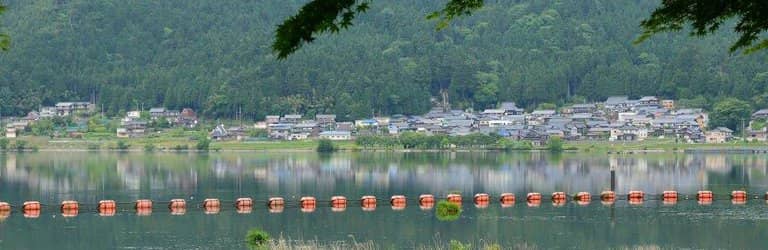 Lakeside Running Path
