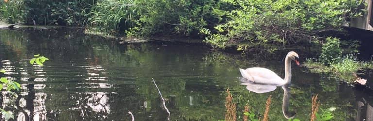 Educational Nature Walk