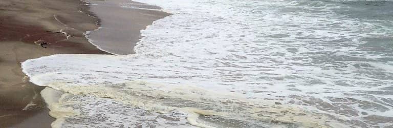 Jetty 1905 Restaurant