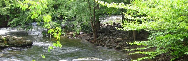 Riverside Access & Fishing