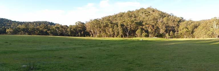 Family-Friendly Atmosphere