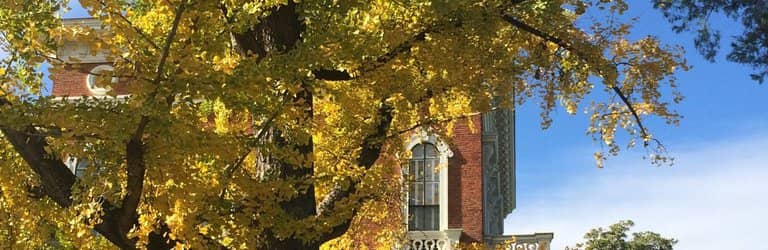 The Story of Louise Hay