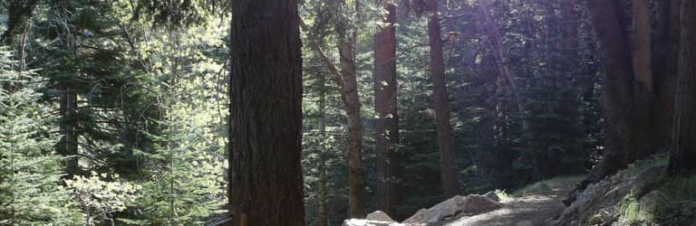 Self-Guided Nature Walks