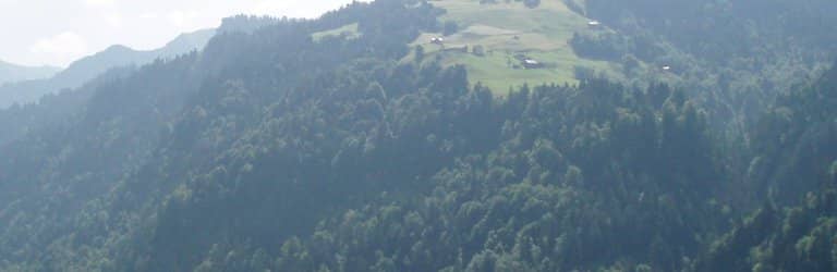 Wander through Lush Alpine Meadows