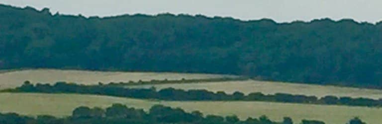 Humphry Repton Landscape