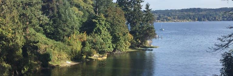 Thomas Dambo's Troll