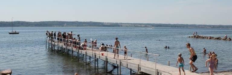 Crab Catching Adventure