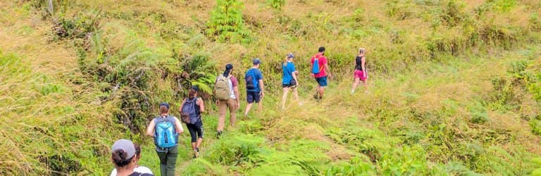 Cascading Waterfalls