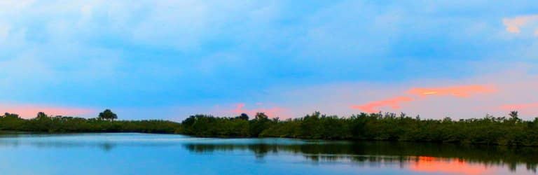 Scenic Wetland Views