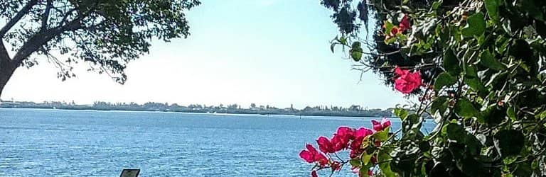 Bertha Palmer's Gardens