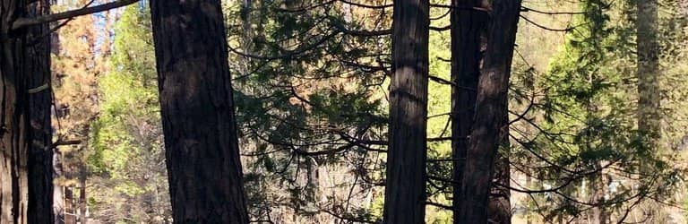 Historic Covered Bridge