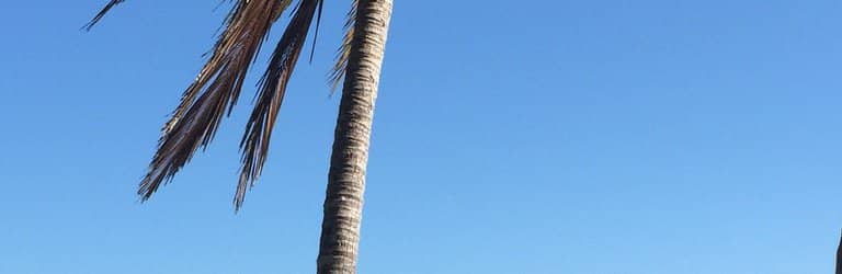 Crystal Clear Waters