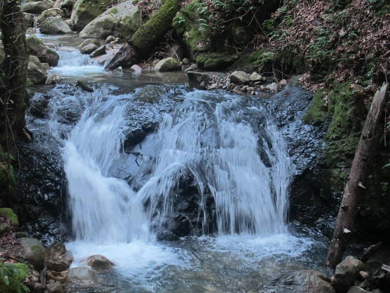 Picnic Areas with a View