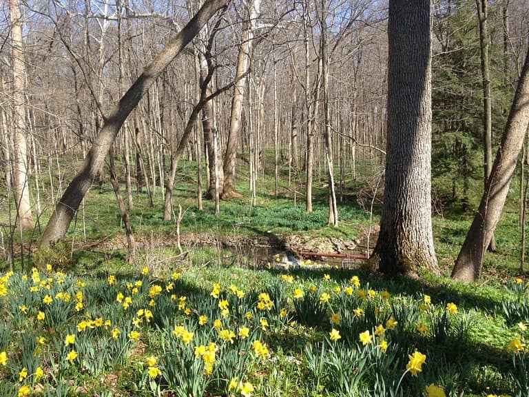 Extensive Gardens and Prairie