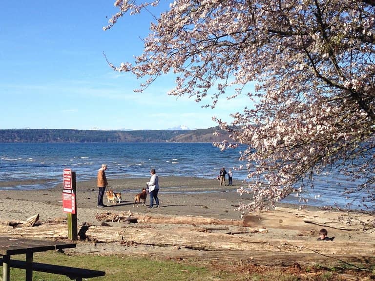 Clamming Opportunities