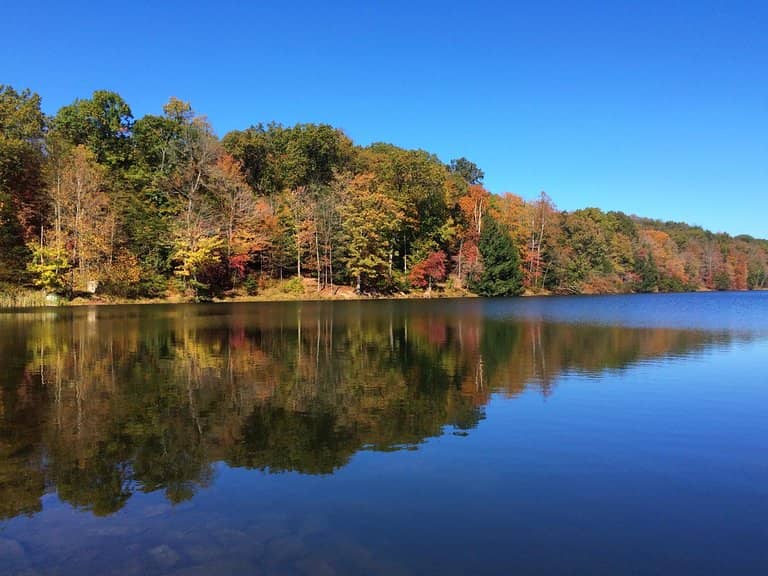 University of Northern Iowa (UNI)