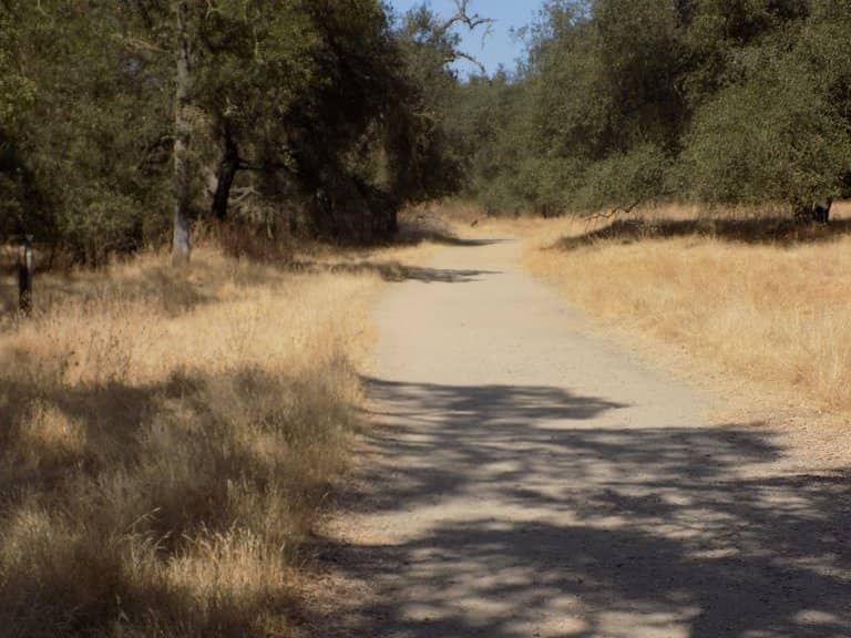 American River Access