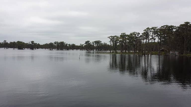 Abundant Wildlife Viewing