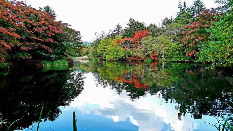 Tranquil Lakeside Stroll