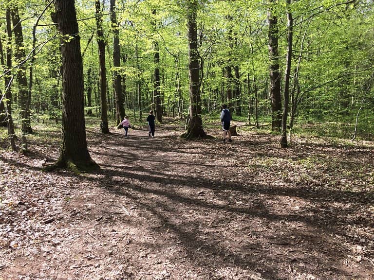 Children's Carvings Trail