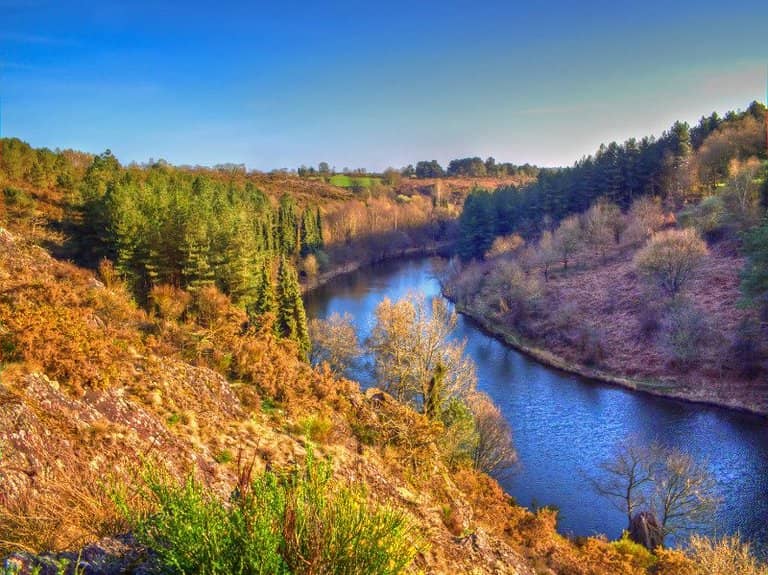 Lush Vegetation & Water Features