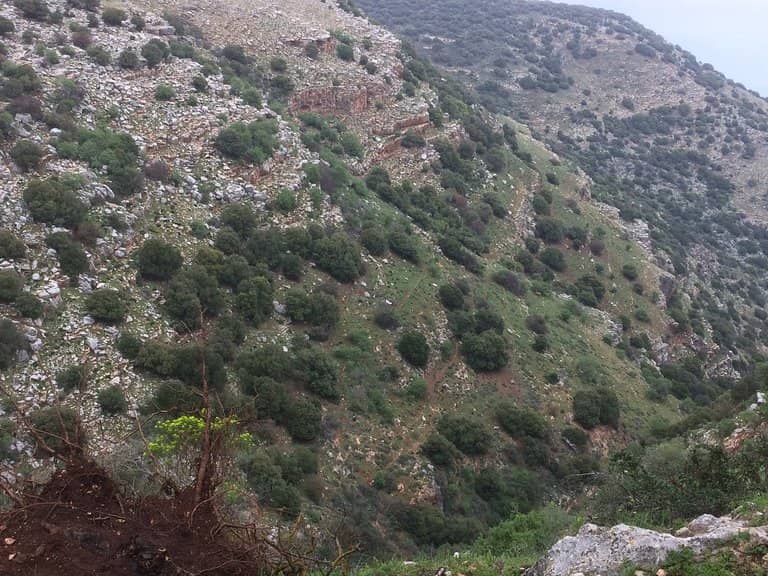 Segulah for Shidduchim