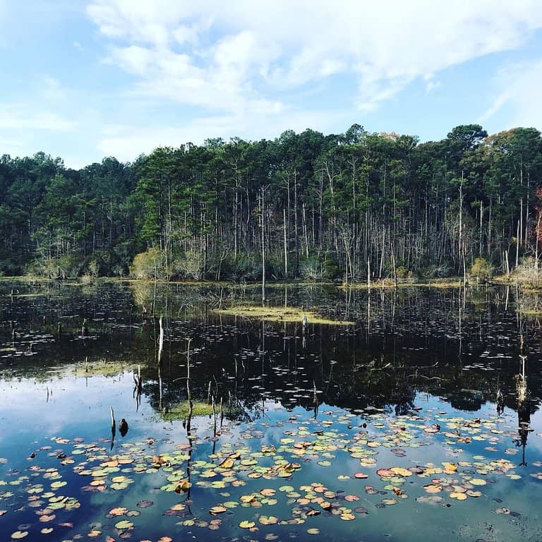 Historical Significance