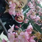 Nagai Park's Green Spaces