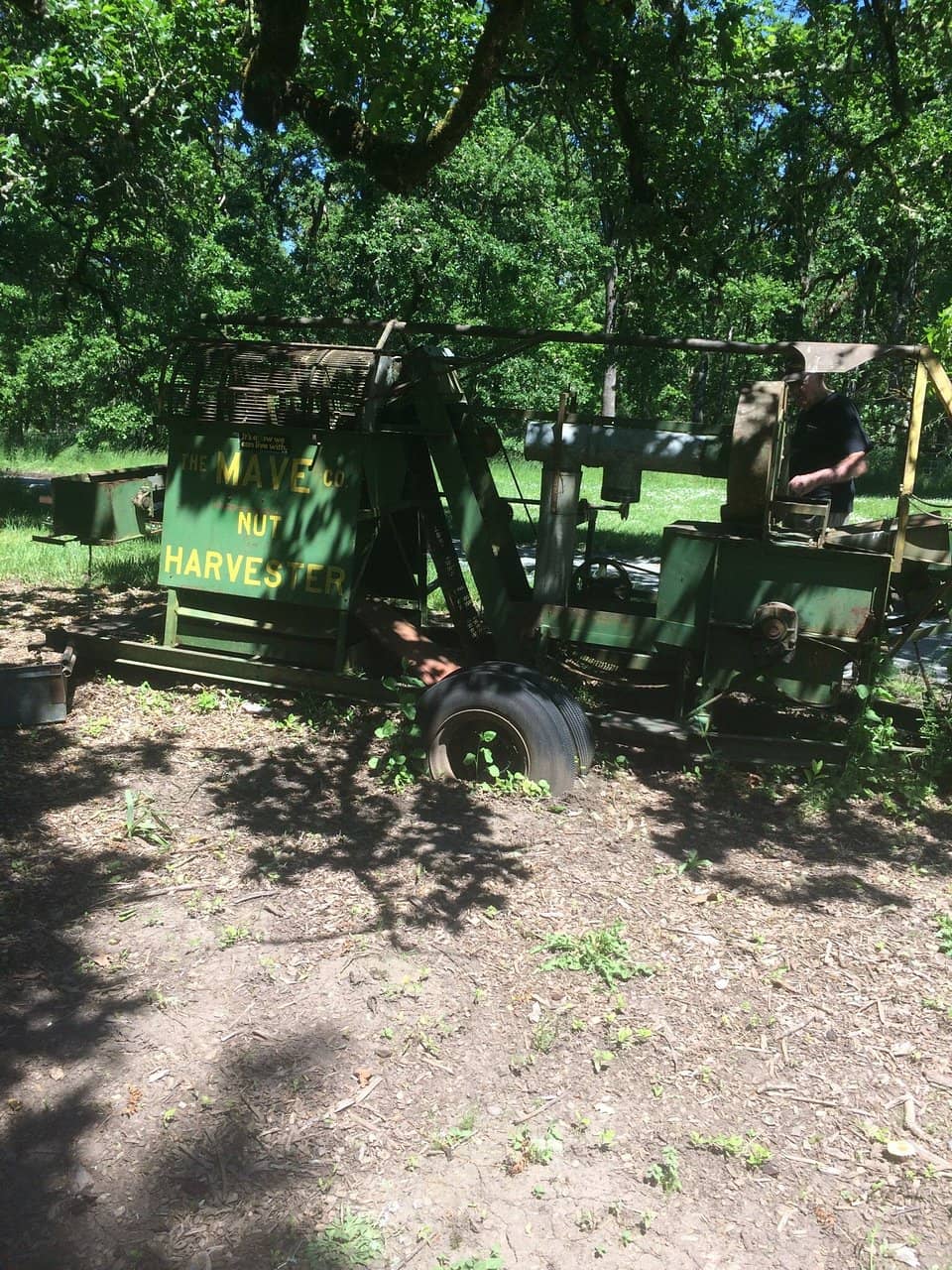 Willamette River Trails