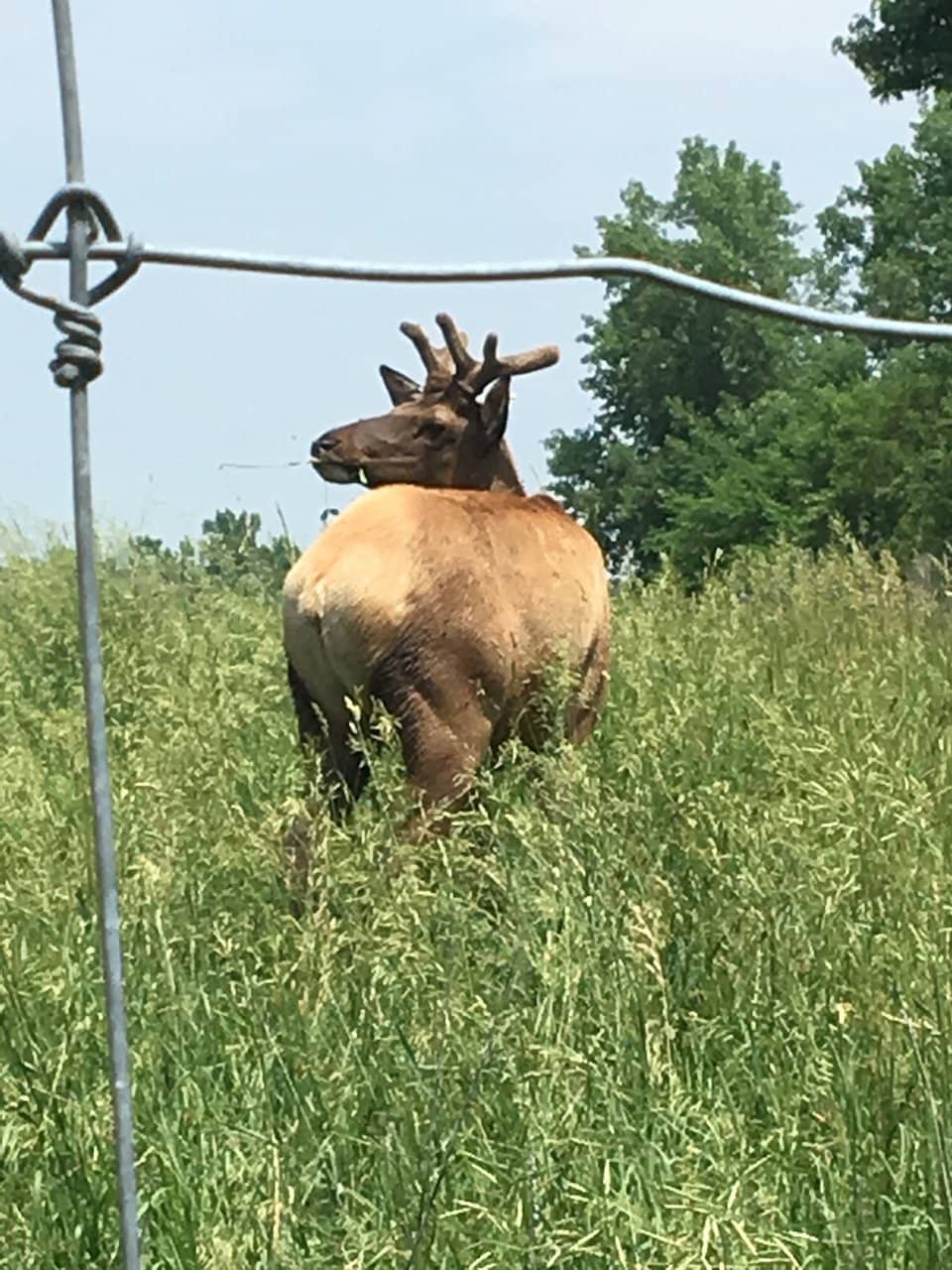 Jester Park Nature Center