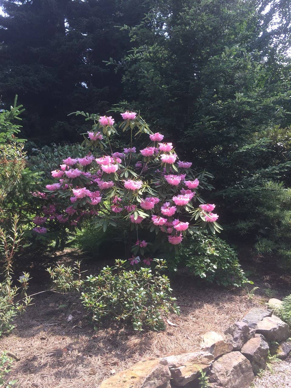 Tropical Greenhouses