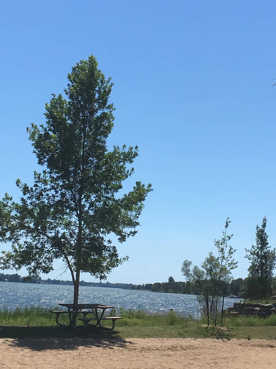 Expansive Dog Park